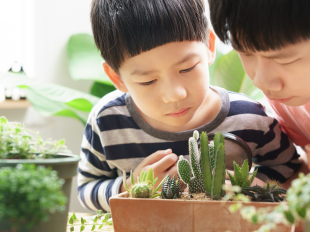 Two kids looking at plants